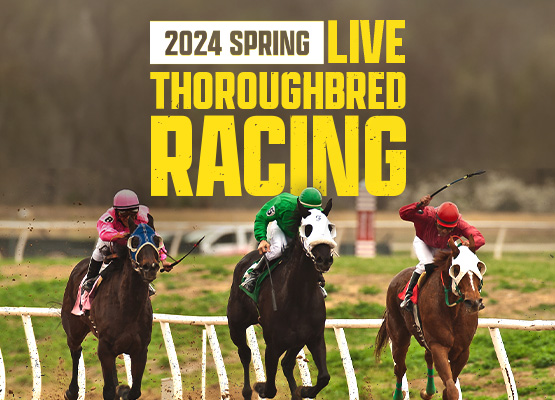Spring Horse Racing