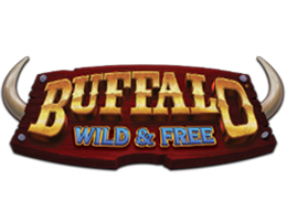 Buffalo Wild & Free