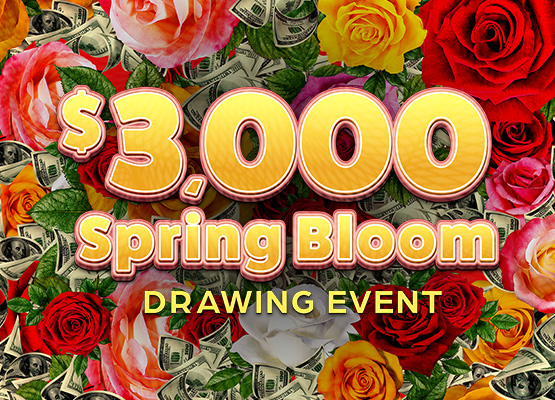 $3,000 Spring Bloom